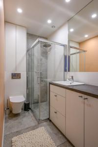 a bathroom with a shower and a sink and a toilet at Rent-Apart City Center Piotrkowska in Łódź