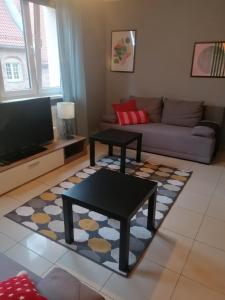 ein Wohnzimmer mit einem Sofa und einem TV in der Unterkunft Apartament Szczytna NO'10 in Toruń