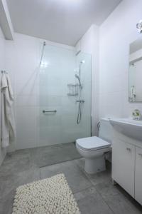 La salle de bains est pourvue d'une douche, de toilettes et d'un lavabo. dans l'établissement Rent-Apart City Center Narutowicza, à Łódź