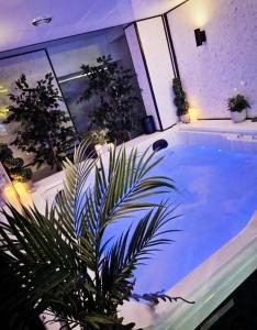 eine Badewanne mit Pflanze in einem Zimmer in der Unterkunft Luxury 9ine SUPER BEAUTIFUL JACUZZI APARTMENT WITH BALCONY in Birmingham