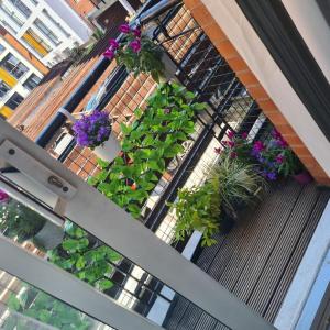 a balcony with a bunch of plants and flowers at Luxury 9ine SUPER BEAUTIFUL JACUZZI APARTMENT WITH BALCONY in Birmingham