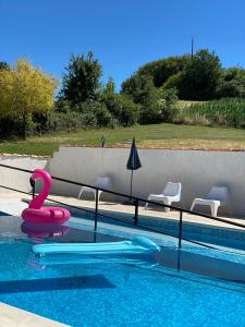 Champagne-et-Fontaine的住宿－Métairie des Gâcheries，水中一个粉红色天鹅的游泳池