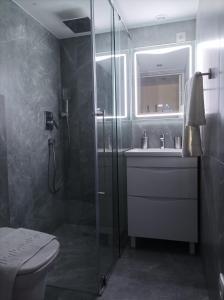 a bathroom with a shower and a sink and a toilet at Chorni vivtsy in Chernivtsi