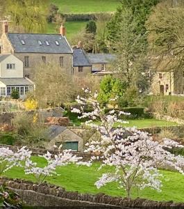 a garden with a flowering tree and a house at Valley View Farm, Bed and Breakfast in Batcombe