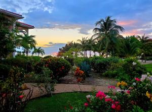 a garden with flowers and palm trees at sunset at Los Porticos in Placencia Village