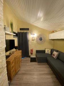 ein Wohnzimmer mit einem Sofa und einem TV in der Unterkunft Repère du Cerf in Virton