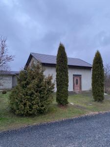 een huis met twee bomen ervoor bij PILADZI in Sigulda