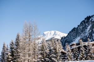 a ski lodge with snow covered trees in front of a mountain at Margarethe Apartments Lech in Lech am Arlberg