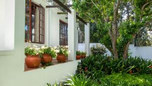 een rij bloempotten op een muur met planten bij Eastcliff Cottage in Hermanus