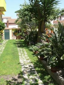 un giardino con palma e sentiero in pietra di Lovely Flat in Northern Sardinia (Valledoria) a Valledoria