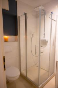 e bagno con doccia, servizi igienici e lavandino. di Passat - a16657 a Westermarkelsdorf