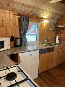 a kitchen with a stove and a sink in a cabin at Fischer Hütte in Sankt Andreasberg