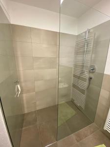 a shower with a glass door in a bathroom at Garni Schanz in Resia