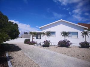 a white house with palm trees in front of it at Barefoot Bungalow in Yzerfontein