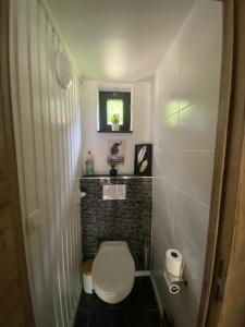 a small bathroom with a toilet and a window at Refuge du Loup in Virton +3 photos