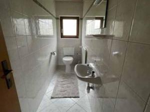 a bathroom with a sink and a toilet at Haus Gertraud Schreiner in Neuschönau