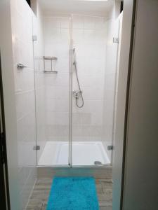 a bathroom with a shower with a blue rug at Löwen Unterkunft Braunschweig in Braunschweig