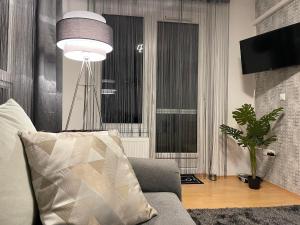 Televízia a/alebo spoločenská miestnosť v ubytovaní Európa 20 Apartman