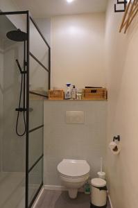 een kleine badkamer met toilet en douche bij l'ostendaise in Oostende +15 foto's