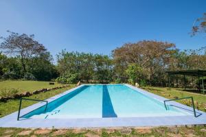 an empty swimming pool in a park with trees at Bamboo Banks Farm & Guest House in Masinagudi