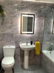 a bathroom with a toilet and a sink and a mirror at Ground Floor Apartment with Garden in Glasgow