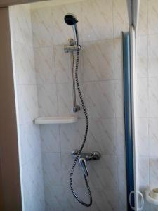 a shower with a shower head in a bathroom at Appartamento Vista Mare aA Briatico 15 Km Da Tropea Calabria in Briatico