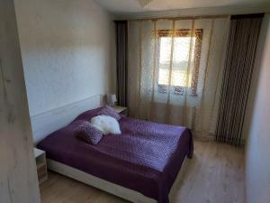 a bedroom with a purple bed with a cat laying on it at Atpūtas komplekss Burtakas in Straupe