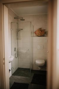 uma casa de banho com uma cabina de duche em vidro e um WC. em Wohnung Hochalm em Lenggries