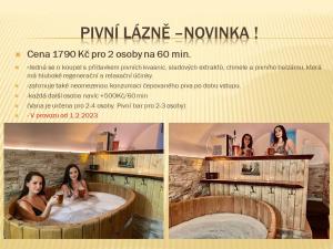 Fotografie z fotogalerie ubytování Wellness Penzion Stonozka v destinaci Ludvíkov
