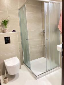 Un baño con ducha, inodoro y lavabo. en Privat Air - Pavcina Lehota, en Liptovský Mikuláš 44 fotos más