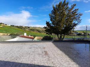 a tree in the middle of a walkway with water at Hall 92 Quartos com WC em moradia com piscina A-das-Lebres Loures in Loures