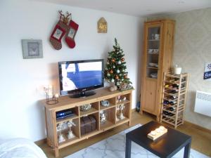 Studio Han Sur Lesse في هان-سور-ليس: غرفة معيشة مع تلفزيون وشجرة عيد الميلاد