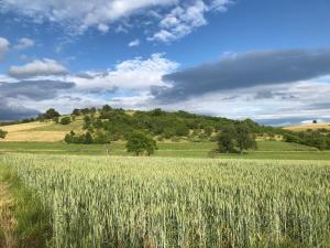 un campo de trigo bajo un cielo nublado en L'Ancienne Distillerie, en Kirrwiller