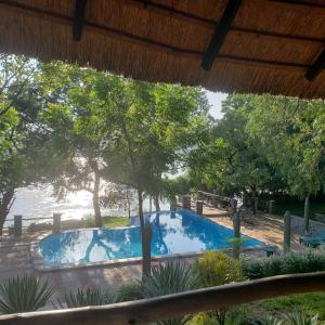 una piscina en un patio con árboles en Ng'ona Lodge en Maganga