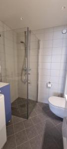uma casa de banho com um chuveiro e um WC. em Apartement in Drammen close to the main city em Drammen