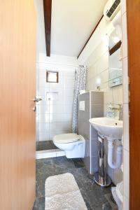 a bathroom with a toilet and a sink at Guest House Family Dukić in Rakovica