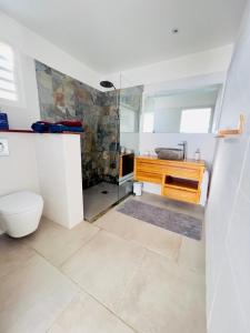 y baño con ducha, aseo y lavamanos. en Villa Amaryllis luxueuse,piscine,vue mer,plage, en Sainte-Luce