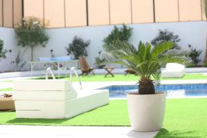 a plant in a white pot next to a pool at VIBES Chalet in Dead sea in Al Rama