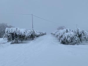 Obiekt Casa vacanze fra gli ulivi zimą