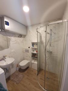 a bathroom with a shower and a toilet and a sink at Smilties apartamentai in Juodkrantė
