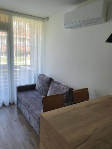 a living room with a couch and a table at Smilties apartamentai in Juodkrantė