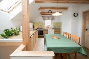 Kuchyň nebo kuchyňský kout v ubytování Apartma Hkavc Markež