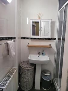 uma pequena casa de banho com um lavatório e um chuveiro em The Residence - NO 57 em Edinburgo