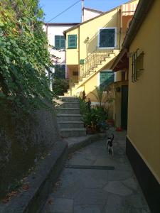 a cat walking down a sidewalk next to a building at Soledad in Bonassola