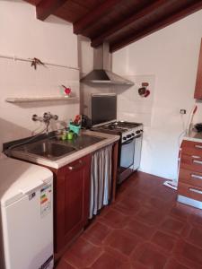 una cocina con fregadero y estufa en Soledad, en Bonassola