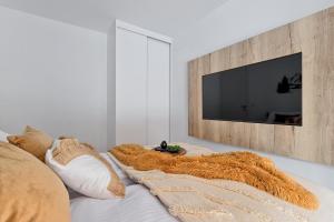 Telewizja i/lub zestaw kina domowego w obiekcie Apartament Morskie Oko Odkryj Zakopane