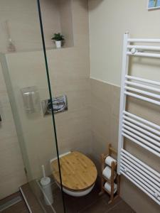 Kúpeľňa v ubytovaní Palmy Apartmanhouse Maglód