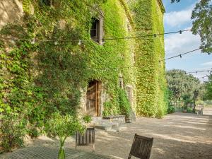 a building covered in ivy with two chairs and a tree at Les Canes 2 in Aiguafreda