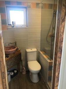 a bathroom with a toilet and a sink and a shower at Garvault House in Kinbrace