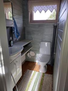 a small bathroom with a toilet and a sink at Villa Mummola Neljän makuuhuoneen asunto lähellä jokea in Simpele